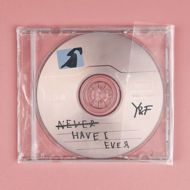 Never Have I Ever cover